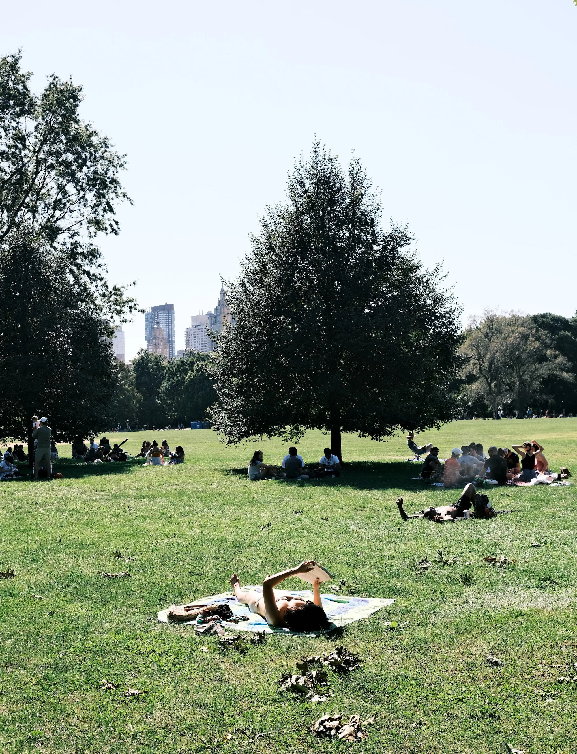 Reader Under Sun