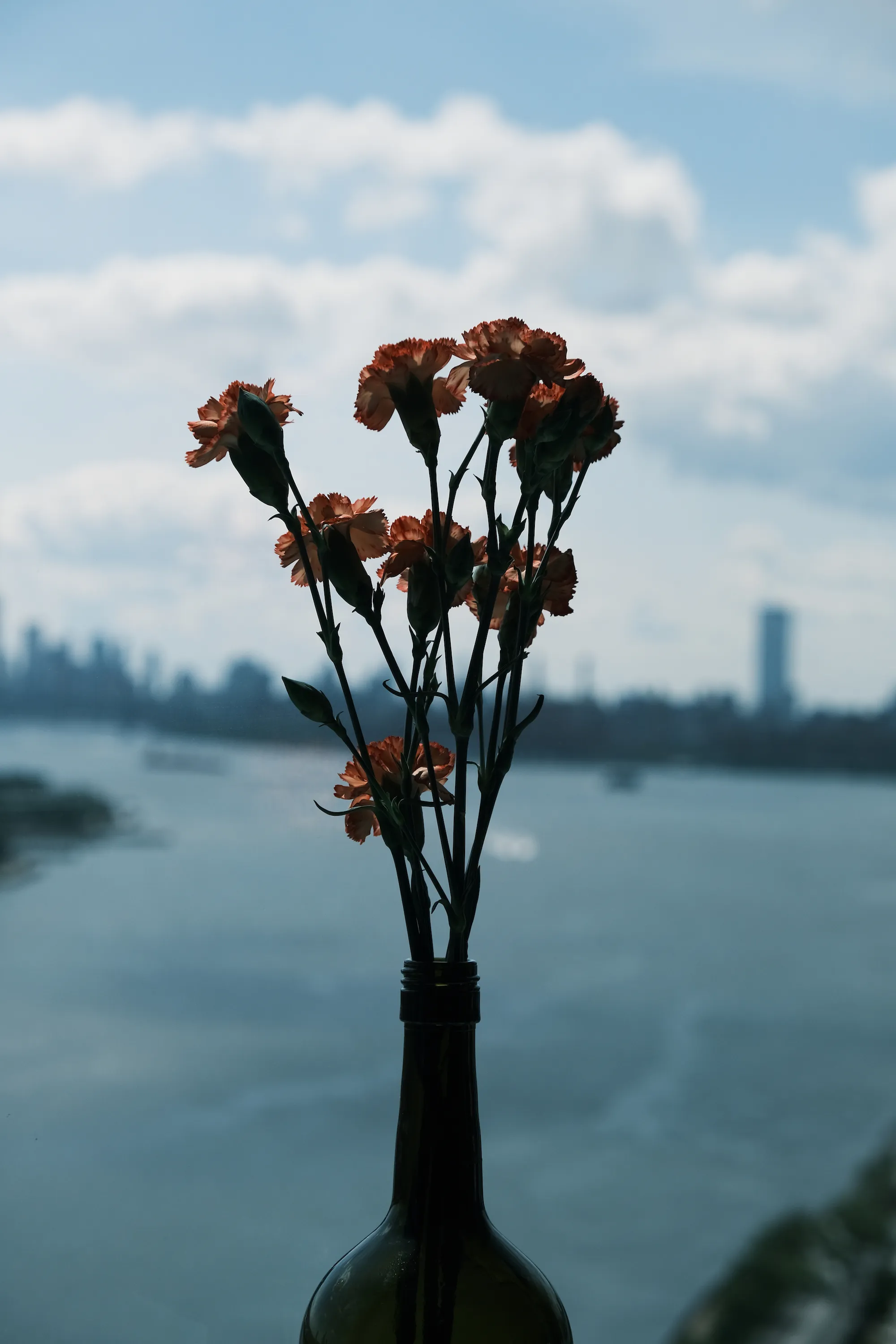 Flower and Sky