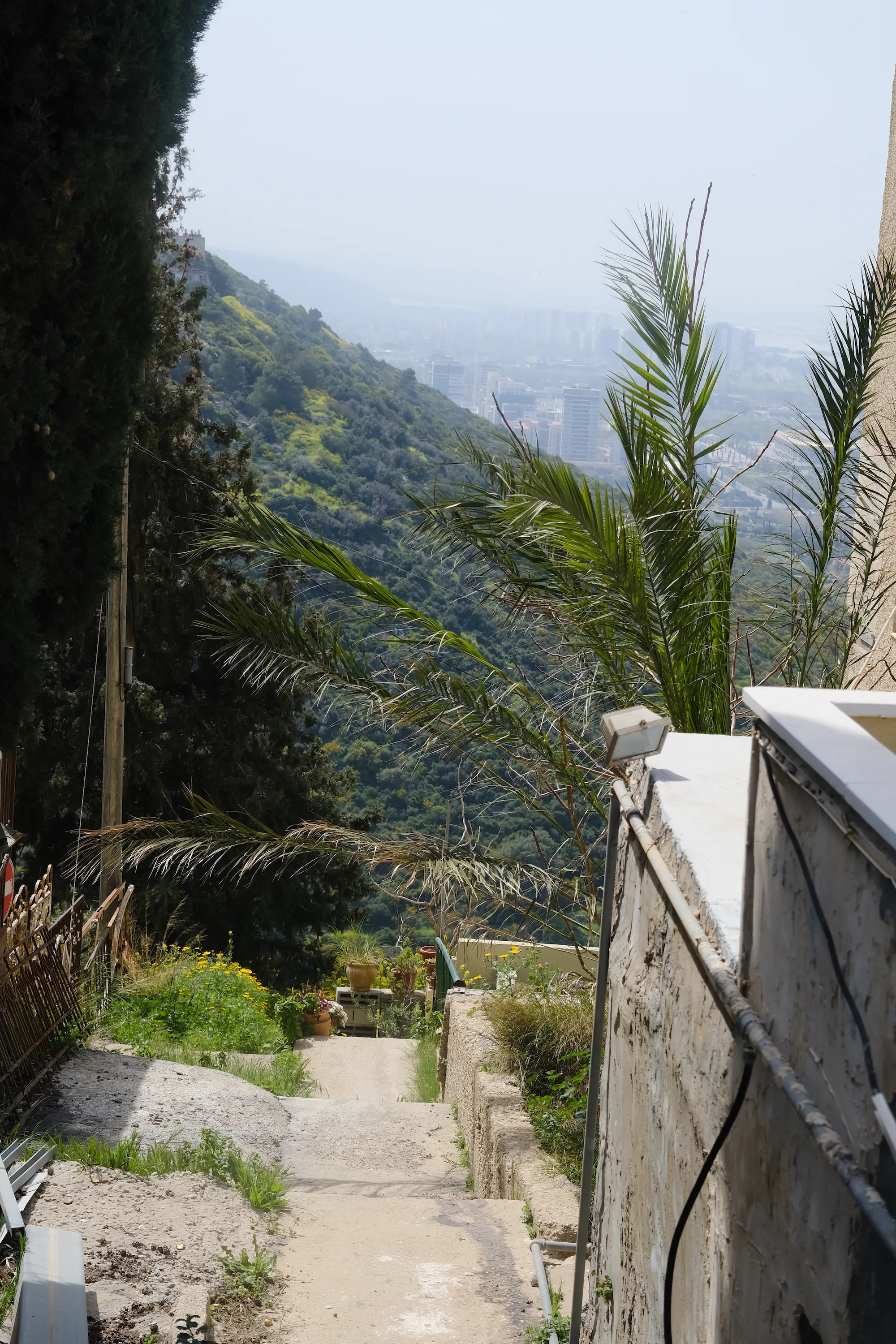 Overlooking the city from a narrow pathway